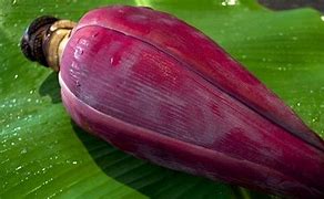 Amankah Sayur Jantung Pisang Untuk Ibu Hamil